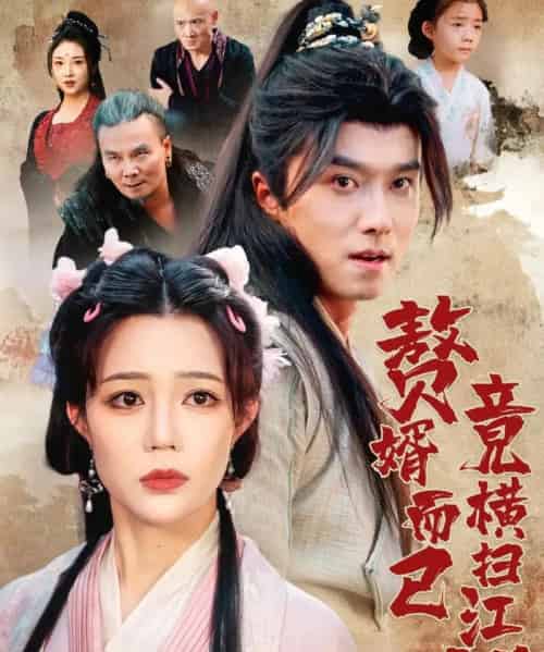 赘婿而已竟横扫江湖（64集全）王振＆章圻悦-搜外项目网