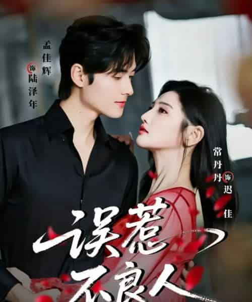 误惹不良人（65集全）孟佳辉＆常丹丹-搜外项目网