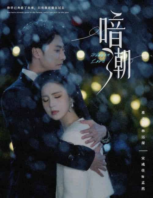暗潮（58集全）淮文＆宋彧佳＆李兼任＆＆蹇代莉-搜外项目网