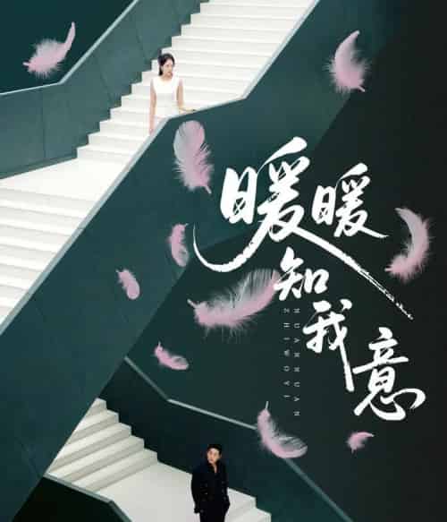 暖暖知我意（61集全）张旋＆程琳淼-搜外项目网