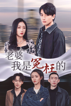 《老婆我是冤枉的》全集剧情介绍 - 搜外短剧