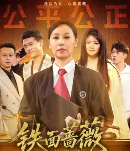 铁面蔷薇（50集）李启骏＆霍奕燃-搜外项目网