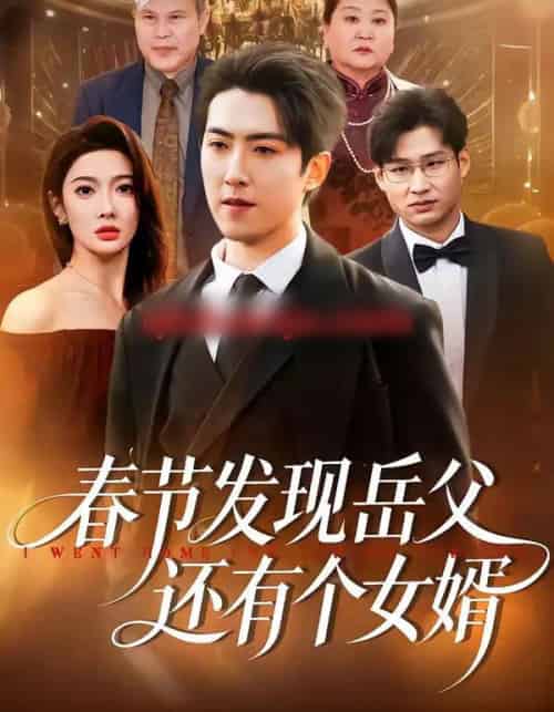 春节发现岳父还有个女婿（50集全）赵阿东＆沈玥妡-搜外项目网