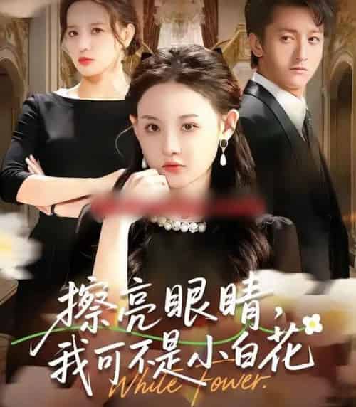 擦亮眼睛,我可不是小白花(60集全)刘安歌&李泽源-搜外项目网