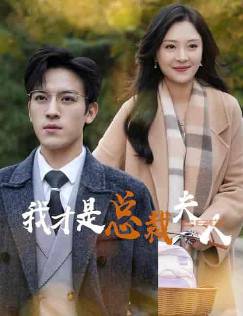 我才是总裁夫人（41集全）-搜外项目网