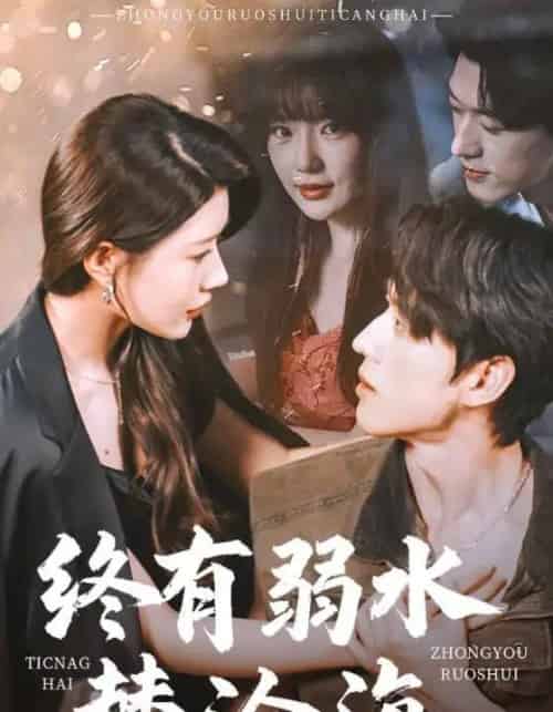 终有弱水替沧海（61集）陈景赫＆尹竹＆常文景-搜外项目网