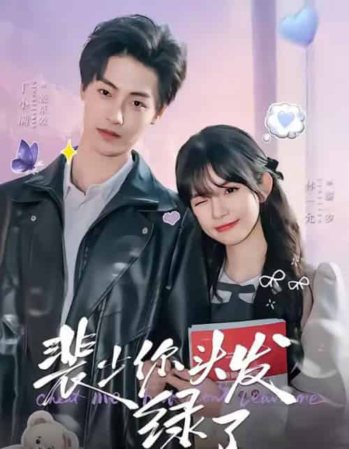 裴少你头发绿了(80集全)丁小满&林一允-搜外项目网