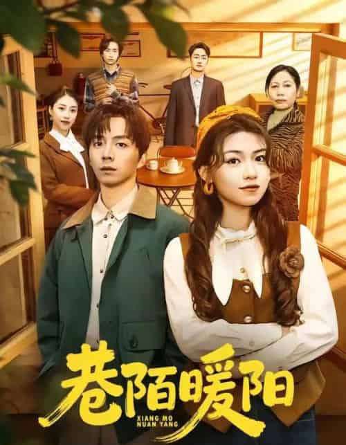 巷陌暖阳（80集全）金建利＆张慧君-搜外项目网