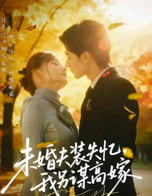 未婚夫装失忆，我另谋高嫁（63集全）肖洋＆刘美伦-搜外项目网