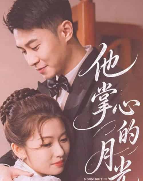 他掌心的月光(50集全)骆定阳&舒湘钧-搜外项目网