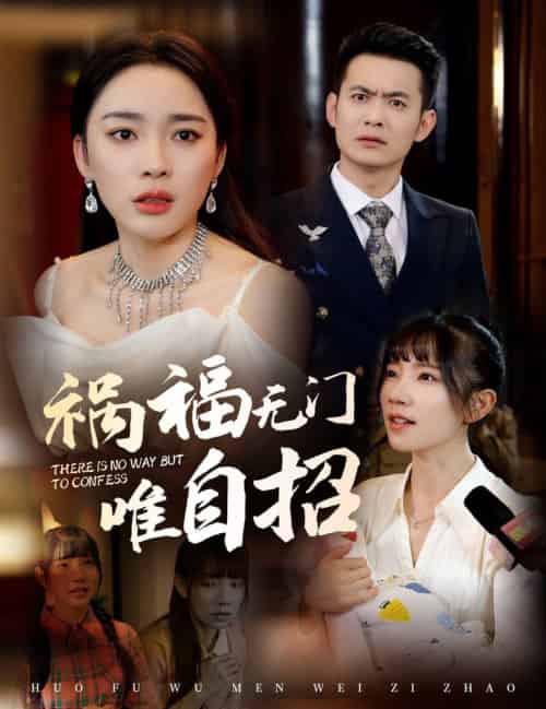 祸福无门唯自招（30集全）郑天龙＆金珊-搜外项目网