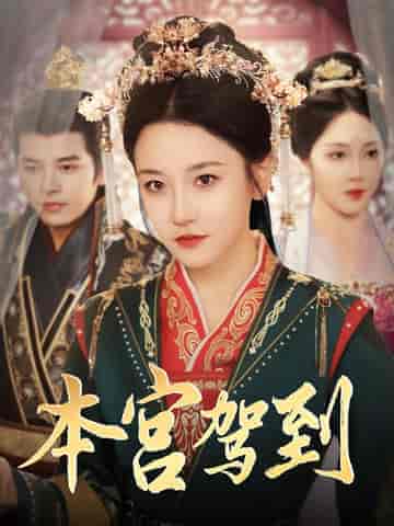 本宫驾到(82集全)左铭&韩雨彤-搜外项目网