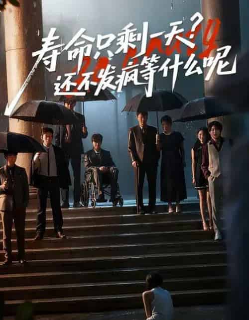 寿命只剩一天，还不发疯等什么呢 （70集全） 林七月＆姜子健-搜外项目网