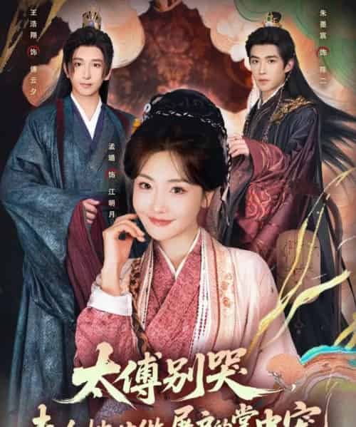 太傅别哭，夫人她甘做屠户的掌中宠（80集全）王浩翔＆孟璐-搜外项目网