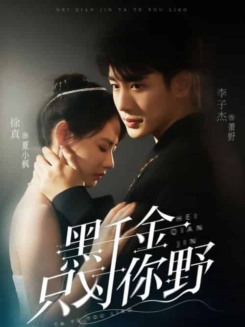 黑千金只对你野（69集全）李子杰＆徐真-搜外项目网