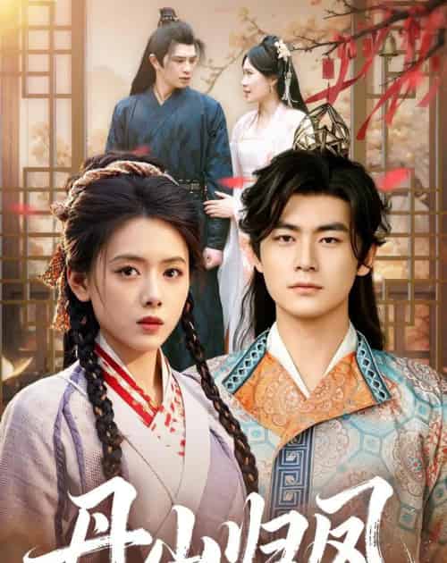 丹山归凤（61集全）彭娜莎＆苏畅-搜外项目网