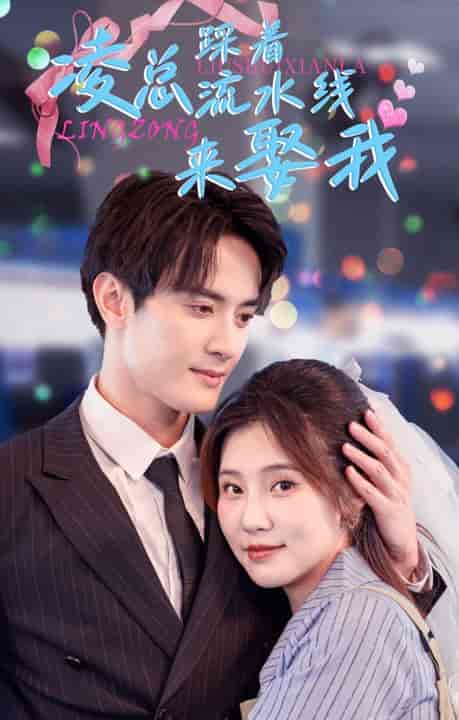 凌总踩着流水线来娶我（60集全）陈冠峄-搜外项目网