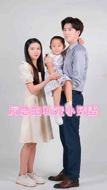 厉总的私宠小娇妻（79集全）张启璇-搜外项目网