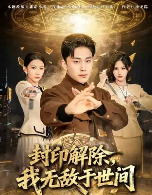 封印解除，我无敌于世间（75集全）刘琉＆陆宇-搜外项目网