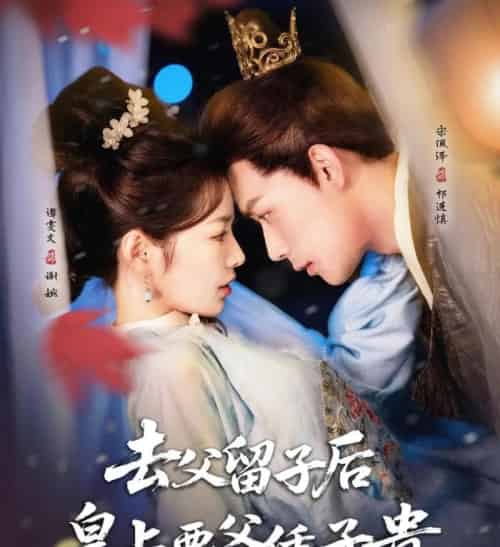 去父留子后，皇上要父凭子贵（66集）宋佩泽＆谭雯文-搜外项目网