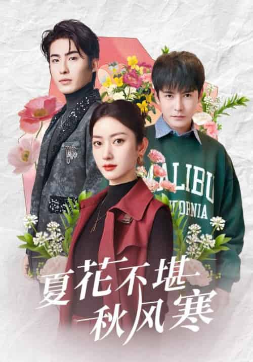夏花不堪秋风寒(79集全)张玉娇&李子峰-搜外项目网