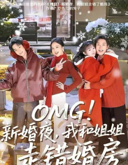 OMG！新婚夜，我和姐姐走错婚房（100集全）张旋＆查祎琛＆夏玄子-搜外项目网
