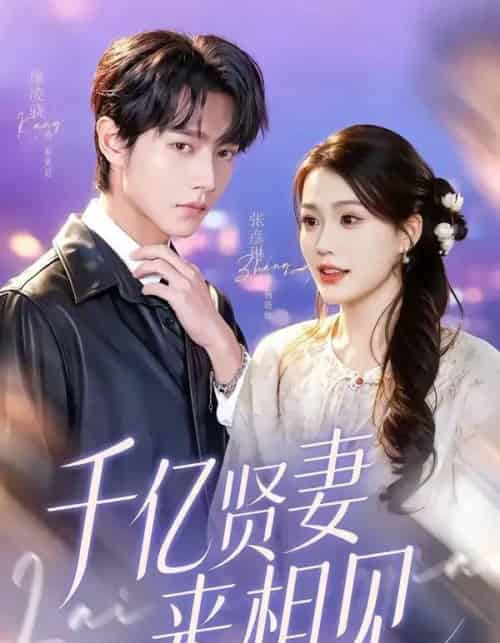 钻石贤妻来相见＆千亿贤妻来相见（72集全）康凌骁＆张彦琳-搜外项目网