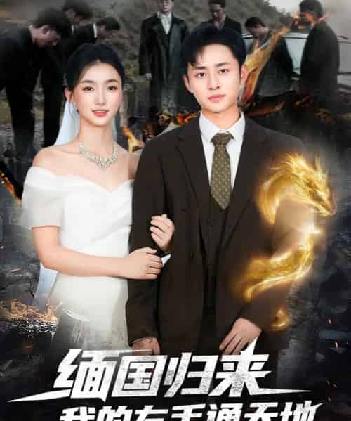 缅国归来我的左手通天地(97集全)卢艺煊&董秋怡-搜外项目网