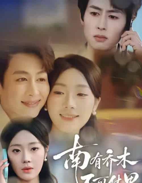 南有乔木，不可休思（68集全）邢航铭＆孔祥东-搜外项目网