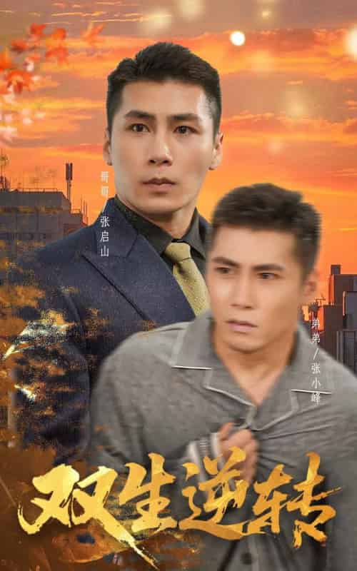 双生逆转（60集全）王妍-搜外项目网