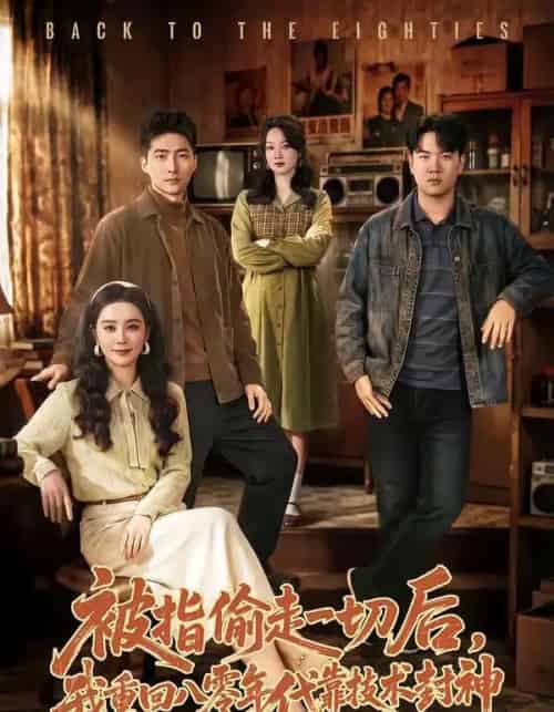 被指偷走一切后，我重回八零年代靠技术封神（67集全）王石＆王宇婧-搜外项目网