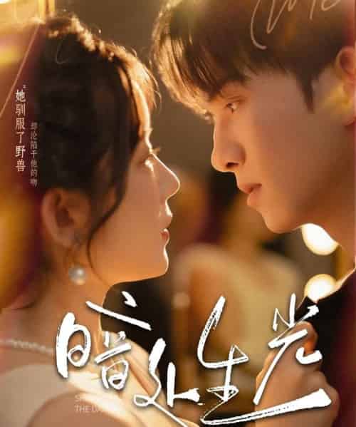 暗处生光（82集）莫书铭＆冯易鑫-搜外项目网