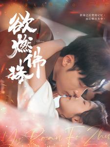 欲燃佛珠（85集全）常高明＆牛静婕-搜外项目网