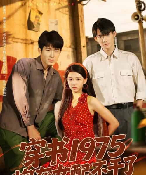 穿书1975炮灰女配不干了（80集全）康讯＆赵婉吟-搜外项目网