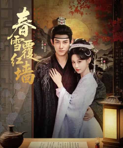 春雪覆红墙（84集全）马浩东＆曹赛亚-搜外项目网