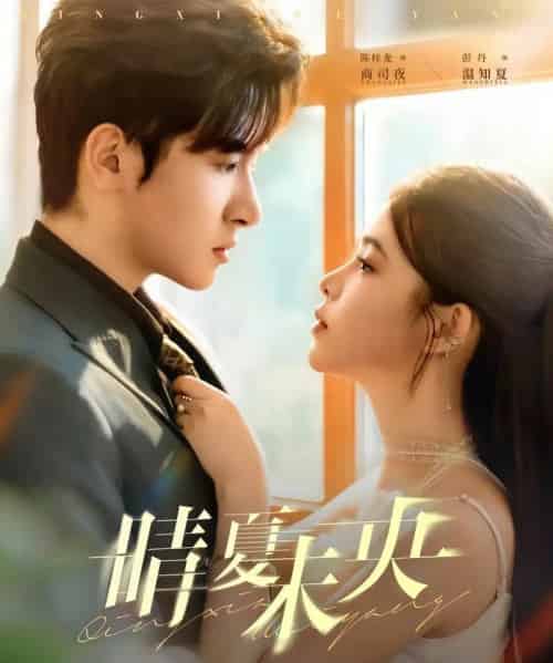 晴夏未央（78集全）陈梓龙＆彭丹-搜外项目网