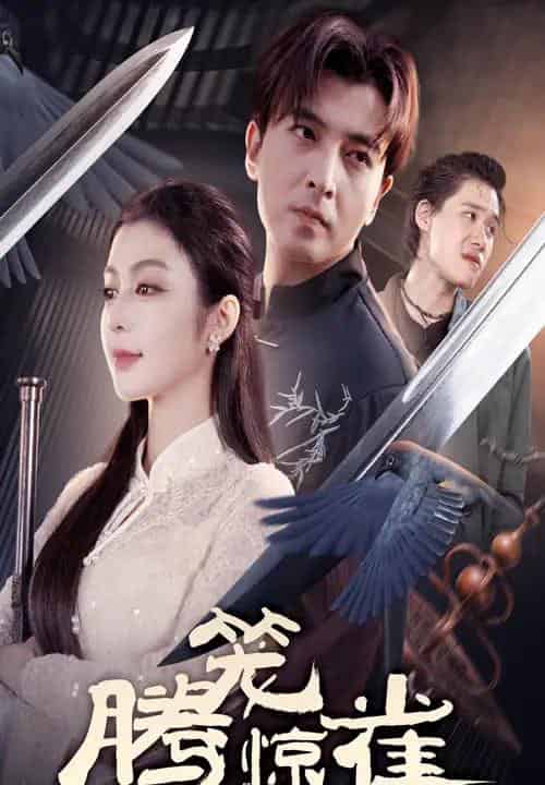 腾笼惊雀（65集全）郑明洋＆唐雪晴-搜外项目网