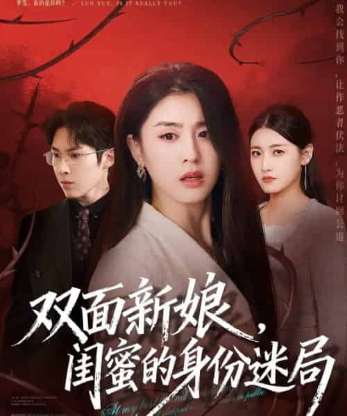 双面新娘，闺蜜的身份迷局（60集全）张禹麟＆李抒颖-搜外项目网