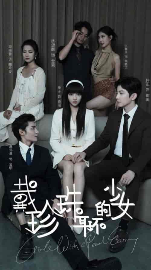 戴珍珠耳环的少女（73集全）钟正-搜外项目网