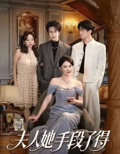 夫人她手段了得（82集全）孙航＆金鑫欣-搜外项目网