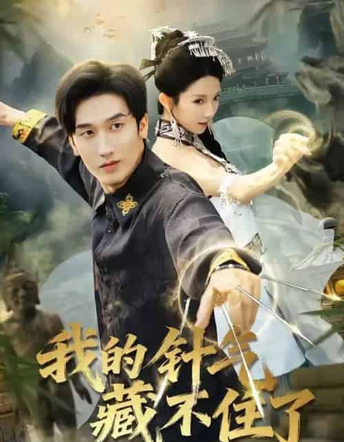 我的针气藏不住了（69集全）王彬茗＆毛宽仁-搜外项目网