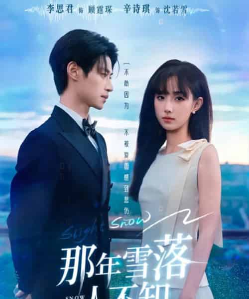 那年雪落人不知（40集全）李思君＆辛诗琪-搜外项目网