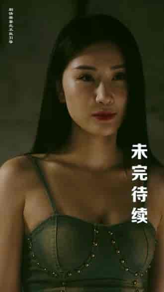 特工凤凰（绝色特工）（88集）-搜外项目网