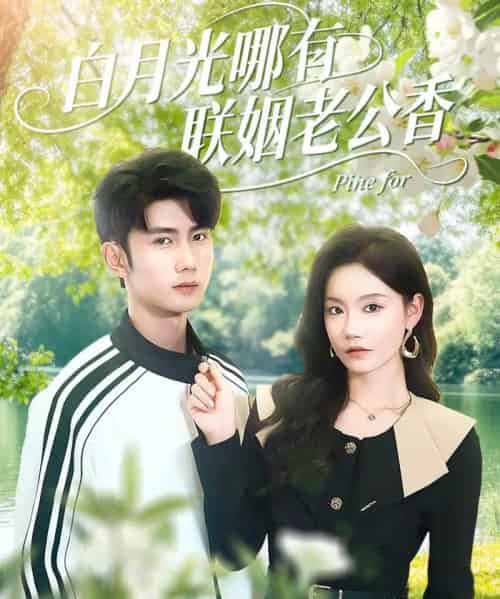 白月光哪有联姻老公香（120集全）唐治璇＆张诗媛-搜外项目网