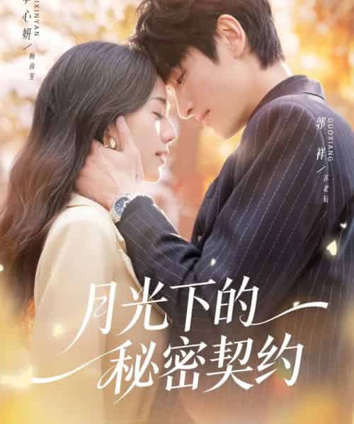 月光下的秘密契约（71集全）李心妍＆郭祥-搜外项目网