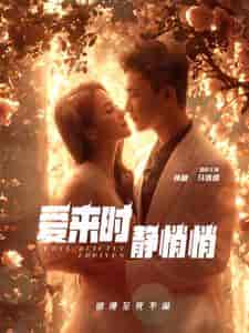 爱来时静悄悄（104集全）孙樾 马倩倩-搜外项目网