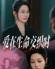 爱在生命交织时（33集全）阎纪圻＆刘清心-搜外项目网