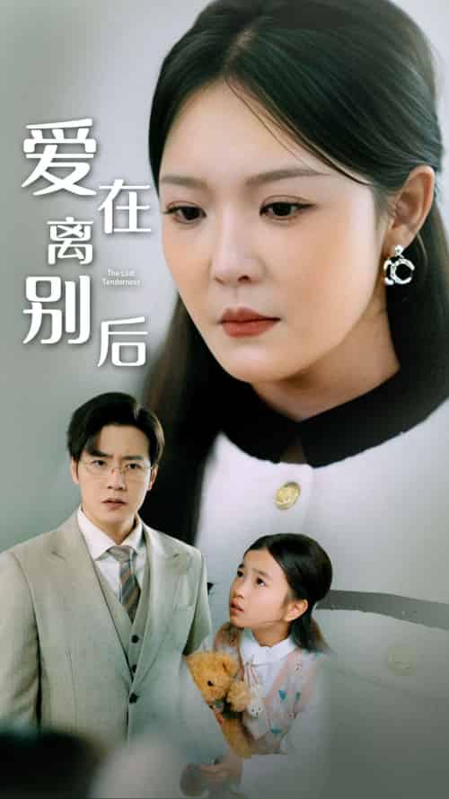 爱在离别后（51集）李明-搜外项目网
