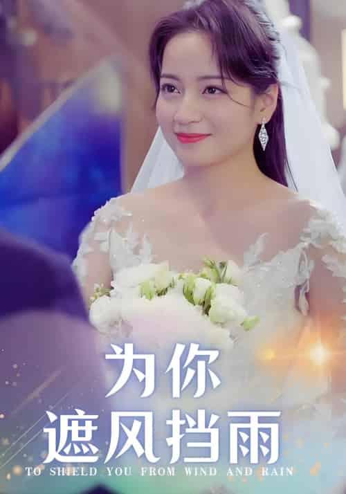 为你遮风挡雨（100集）张逸伦＆孟天音-搜外项目网