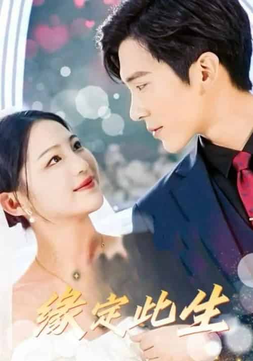 缘定此生（87集）崔秀子＆冯思源-搜外项目网